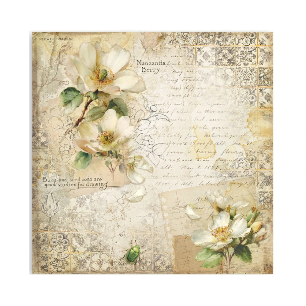 Stamperia Scrapbook papier – All Around 8x8 Maxi