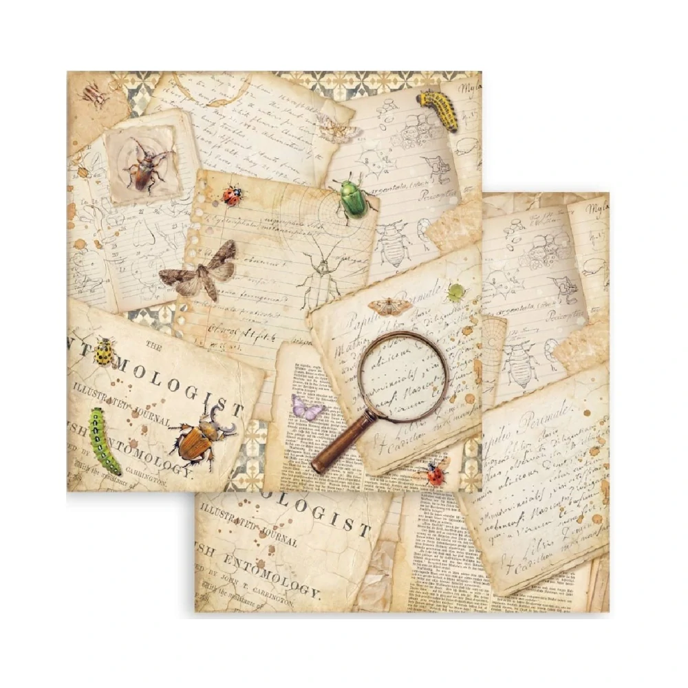 Stamperia Scrapbook papier – All Around 8x8