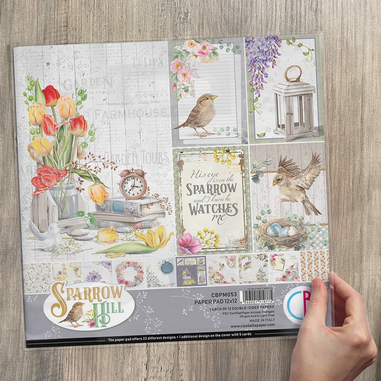 Ciao Bella Scrapbook papier Sparrow Hill 12x12
