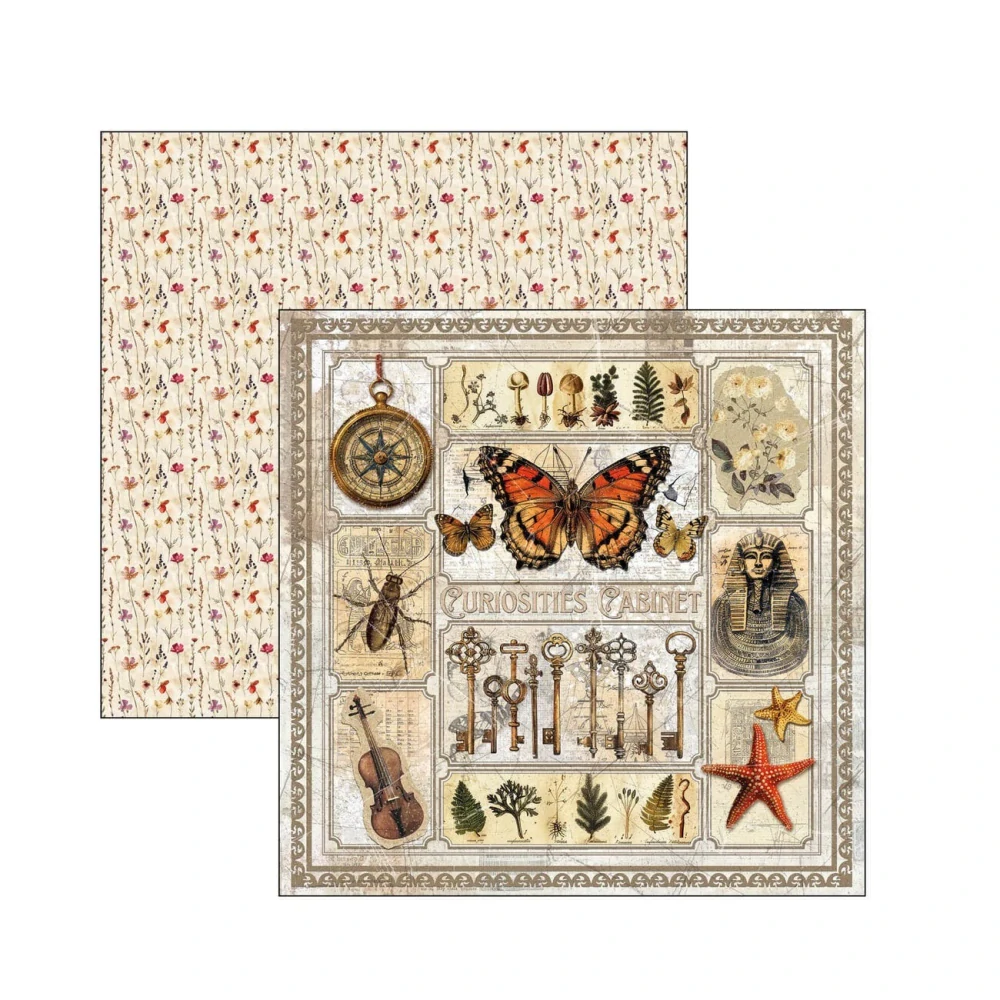 Ciao Bella Scrapbook papier Cabinet of Curiosities 8x8