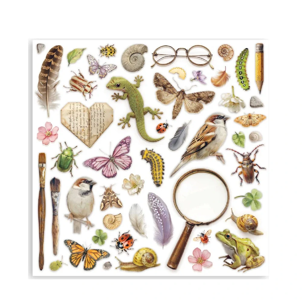 Stamperia Scrapbook papier – All Around 8x8 Maxi