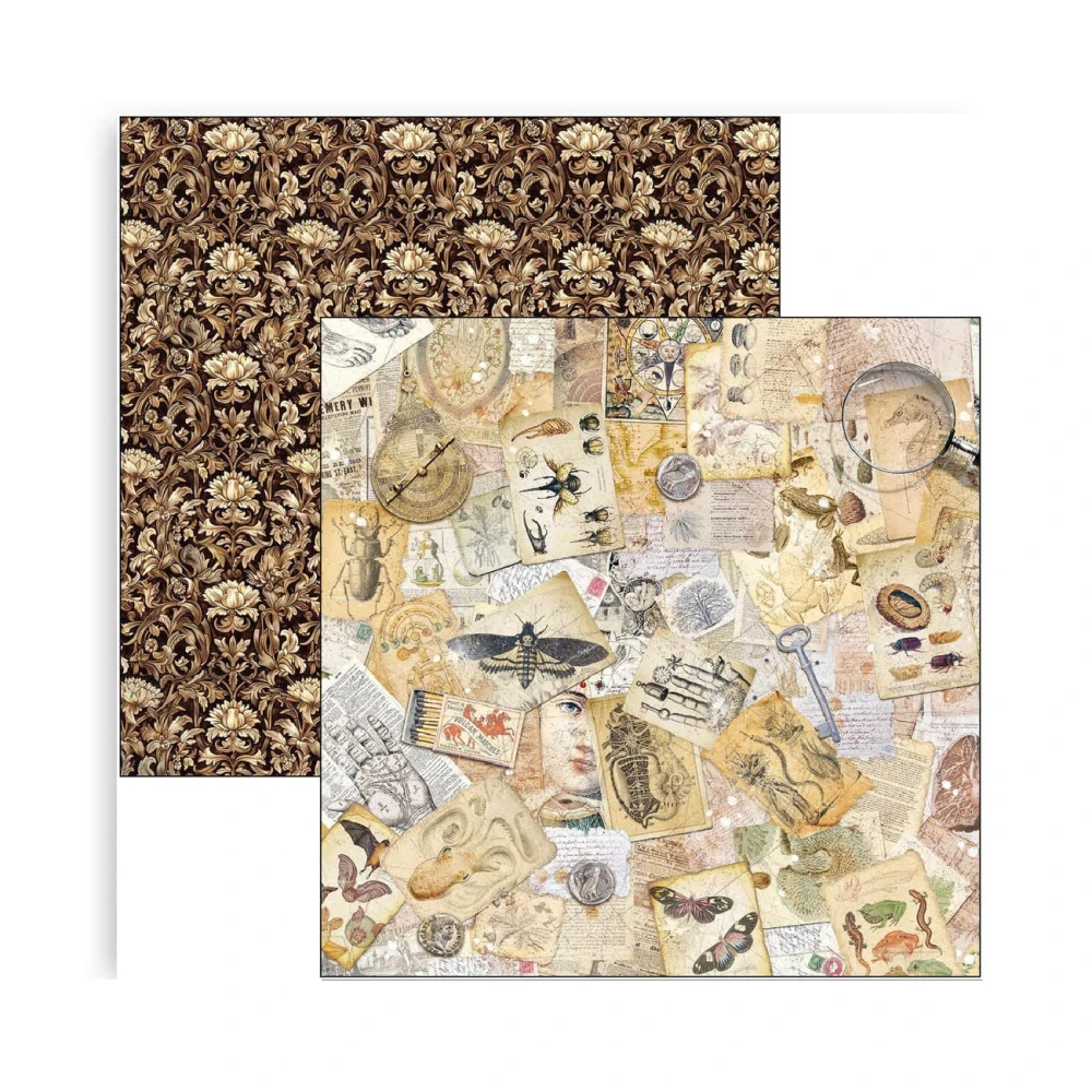 Ciao Bella Scrapbook papier Cabinet of Curiosities 12x12