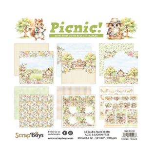 Scrapboys Scrapbook papier Picnic! 12x12
