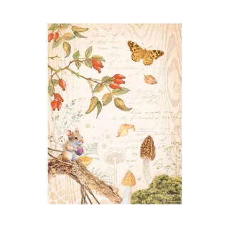 Ryžový papier Stamperia DFSA4817